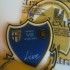 Toppa celebrativa Live Onlus sulle maglie del Parma questa sera contro l’Inter