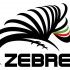 Puma sponsor tecnico delle Zebre Rugby per due stagioni
