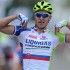 Maglia Peter Sagan 2012 Liquigas-Cannondale Maglia Peter Sagan 2012 Liquigas-Cannondale