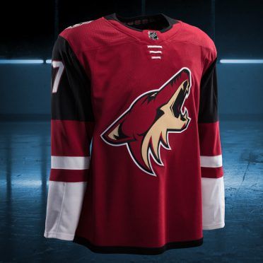 Arizona Coyotes 2017/2018