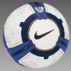 Pallone Premier League 2009-2010