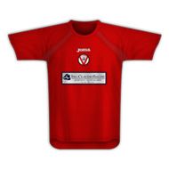 Varese home