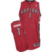 Maglia Raptors di Bargnani 2010-2011