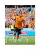 Wolves home