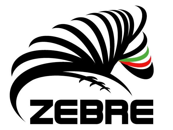 Logo Zebre rugby