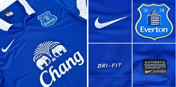 Dettagli casacca 2013-2014 Everton Nike