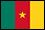 Bandiera Camerun