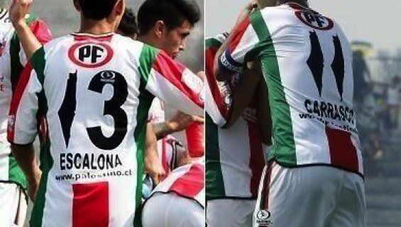 Numeri Club Deportivo Palestino 2014
