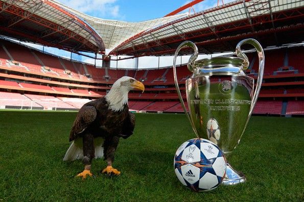 Pallone fase finale Champions League 2013-14