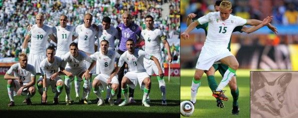 Algeria maglia home Mondiali 2010