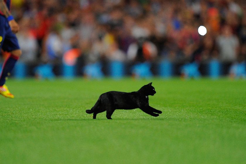 Photoboots 25 agosto 2014