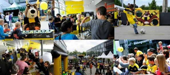 Festa Young Boys stagione 2014-2015