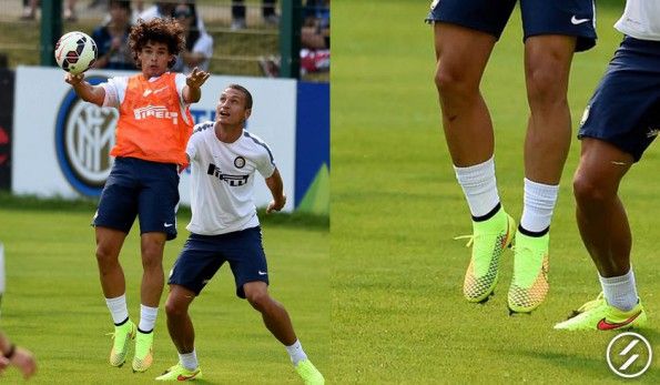 Dodò con le Magista Obra