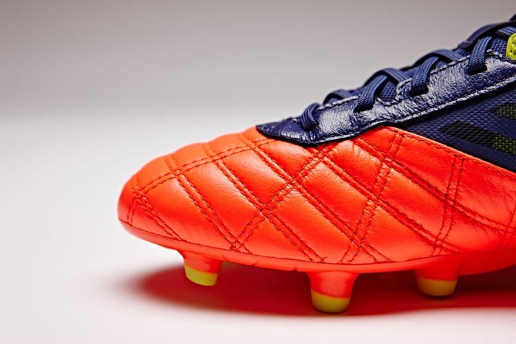 Parte anteriore Medusae