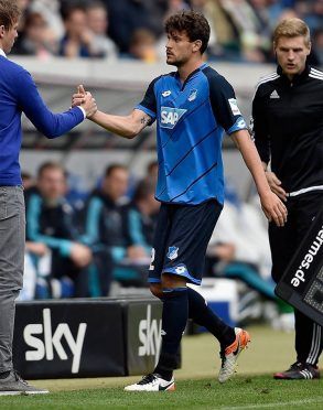 Divisa TSG Hoffenheim 2016-17