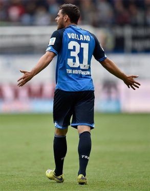 Font Hoffenheim 2016-17