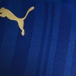 Trama a righe maglia Leicester 16-17