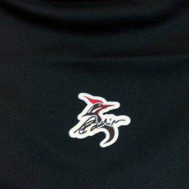 Il picchio stampato sulla maglia dell'Ascoli