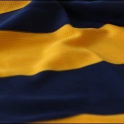 Dettaglio strisce orizzontali gialloblù Hellas Verona