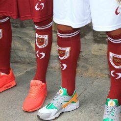 Calzettoni Reggiana 2016-17 home