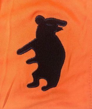 Orso ricamato pantaloncini Pistoiese 2016-17