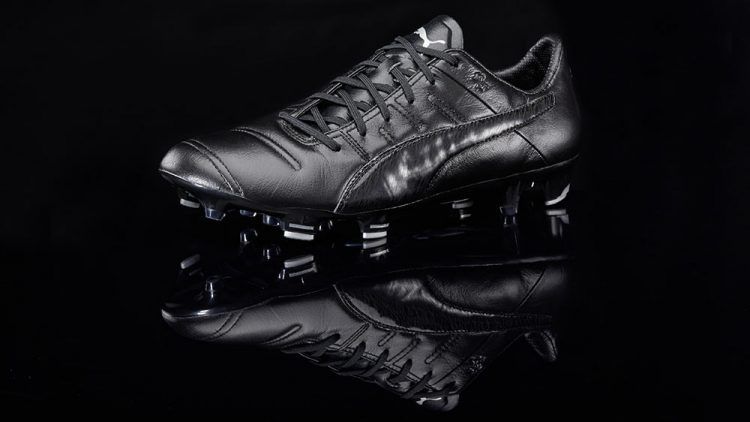 evospeed-evopower-leatherpack_34