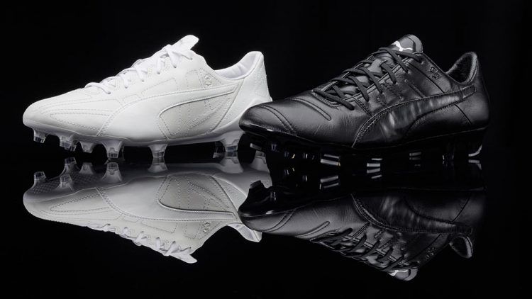 evospeed-evopower-leatherpack_6