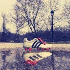 adidas-ace-17-purecontrol-champagne