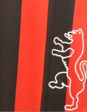 La pantera sulla maglia della Lucchese