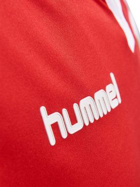 Danimarca Home Speciale 1992-2017, Logo Hummel