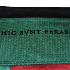 Scritta Hic Svnt Ferae Ternana