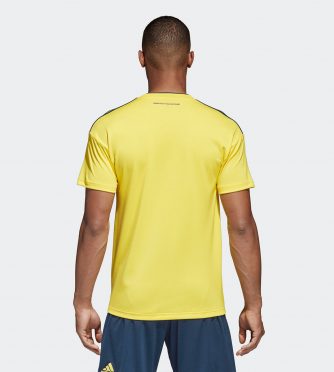 Retro prima maglia Colombia 2018-2020