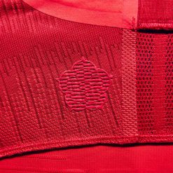 Rosetta interno collo Inghilterra