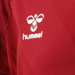 Logo Hummel maglia Danimarca