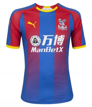 Maglia Crystal Palace 2018-2019 home Puma