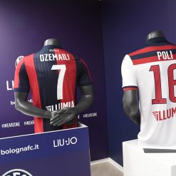Font Bologna 2018-2019