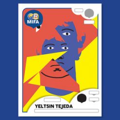 Costa Rica Figurine MIFA Project