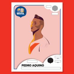 Peru Figurine MIFA Project