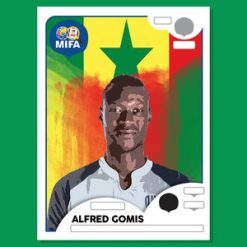 Senegal Figurine MIFA Project