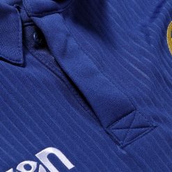 Dettaglio colletto Hellas Verona