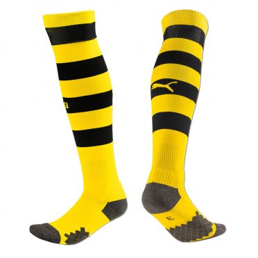 Calzettoni BVB 2019-2020 gialloneri