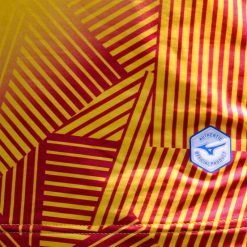 Grafica a righe sulla maglia away del Cittadella