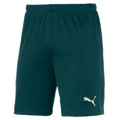 Pantaloncini Italia verdi Puma