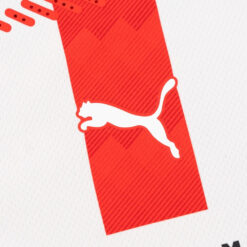 PSV logo Puma
