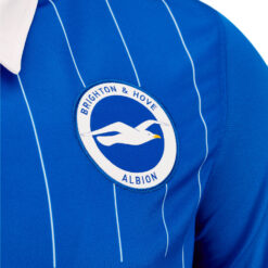 Stemma Brighton & Hove Albion 2020-21