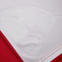 Dettaglio toro maglia Salisburgo