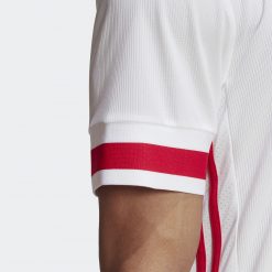 Ajax dettaglio manica