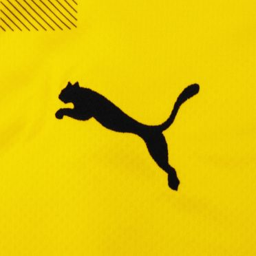 logo puma maglia coppe borussia 2020-2021