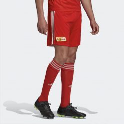 Calzettoni Union 2020-21 rossi