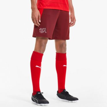 Pantaloncini e calzettoni Svizzera 2020-21